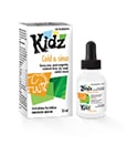 Kidz Cold & Sinus